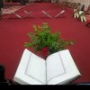 أ. حوراء الحسناوي
